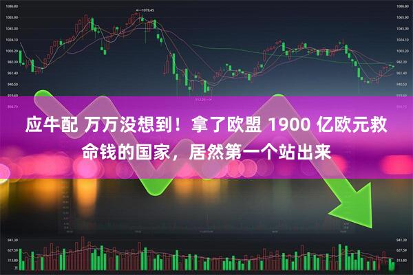 应牛配 万万没想到！拿了欧盟 1900 亿欧元救命钱的国家，居然第一个站出来