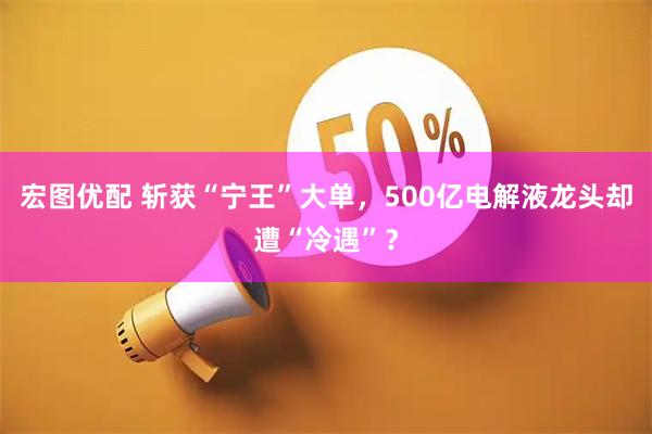 宏图优配 斩获“宁王”大单，500亿电解液龙头却遭“冷遇”？